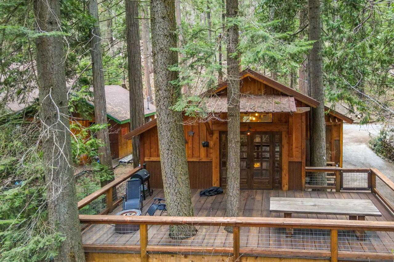Enchanting Creekside Cabin Near Kings Canyon Park! Badger Dış mekan fotoğraf