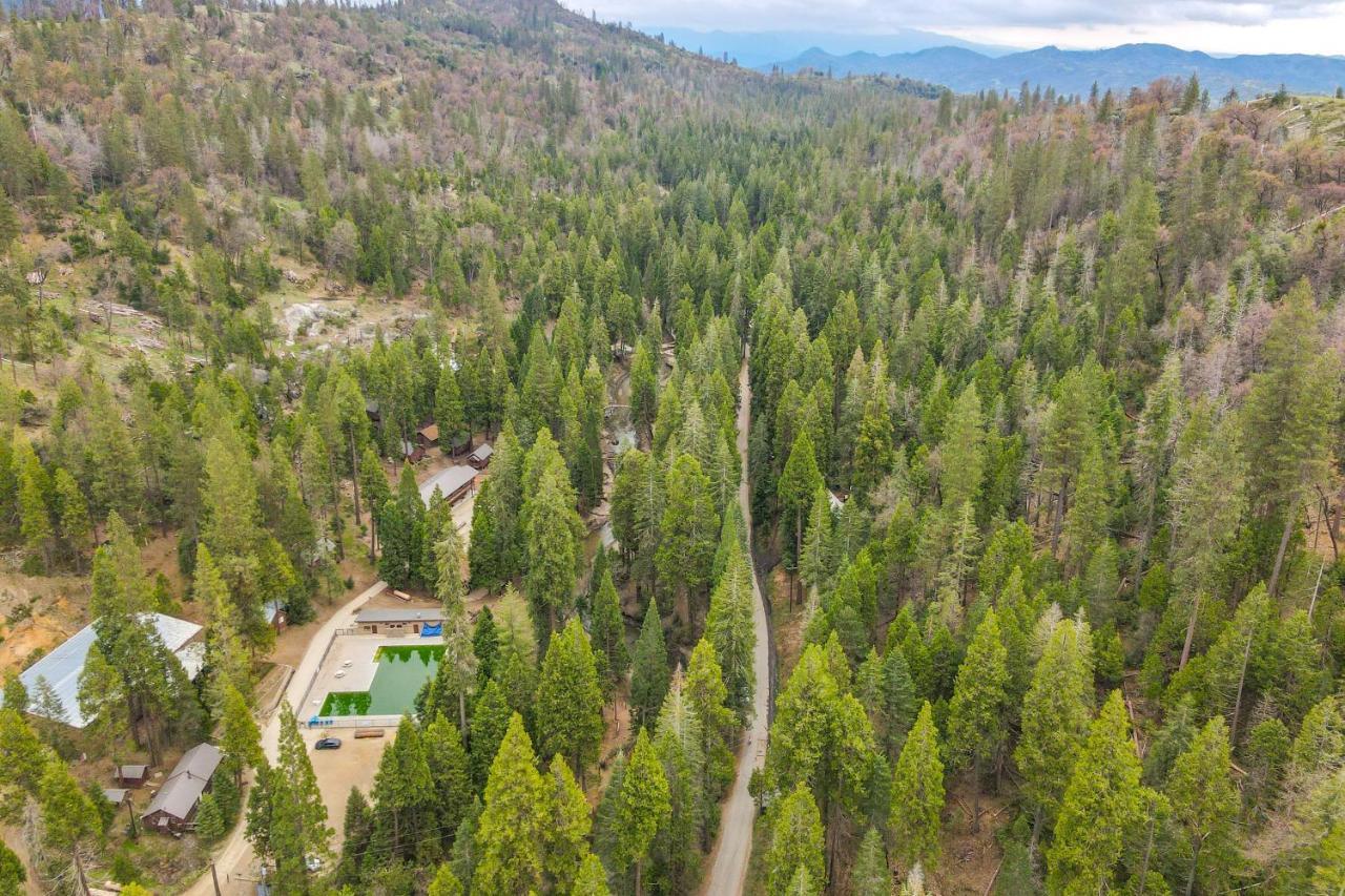 Enchanting Creekside Cabin Near Kings Canyon Park! Badger Dış mekan fotoğraf